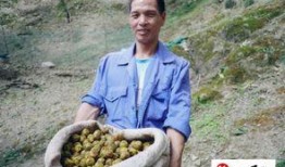 娱乐吃瓜酱拐进大山,揭秘不为人知的奇幻之旅