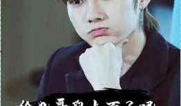 爆料任豪完整视频,揭秘背后惊人真相