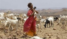 电影沙漠之花在线观看,勇敢绽放的非洲女性传奇